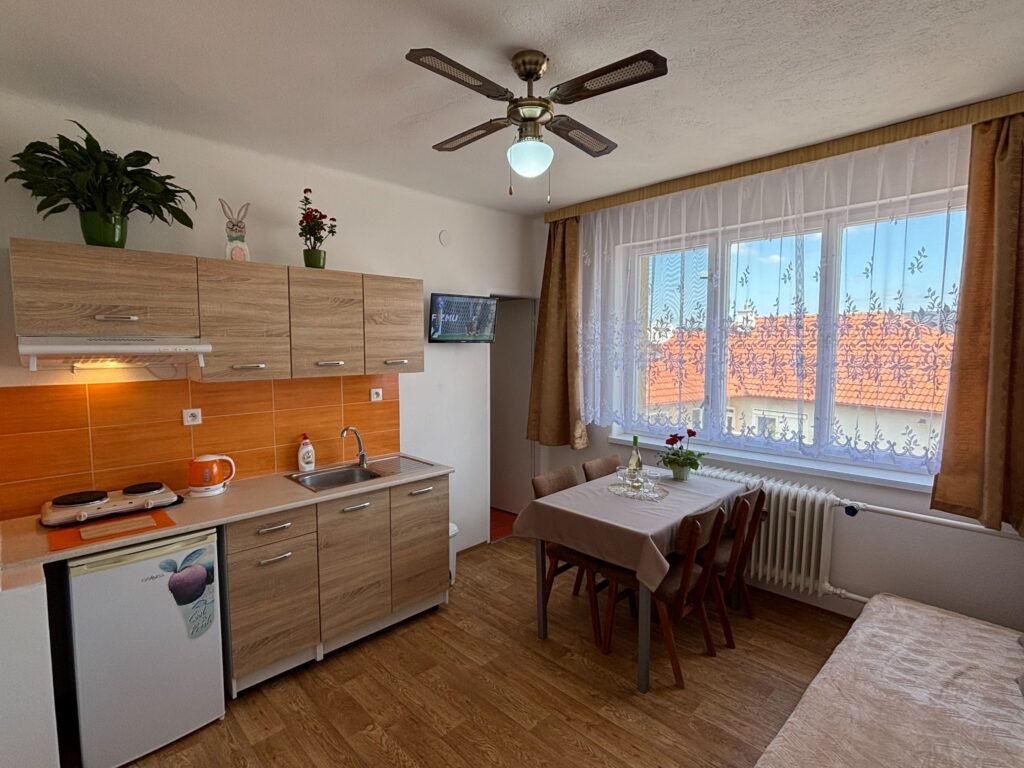 apartmanovy dom grand — foto 3