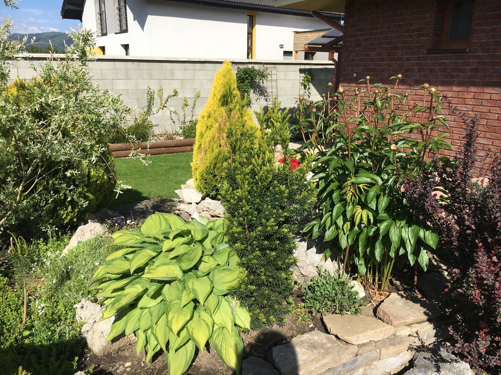 Apartman park — foto 4