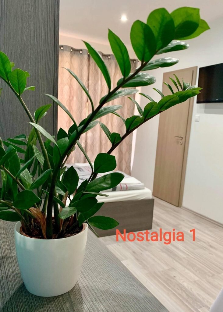 nostalgia penzion — foto 2