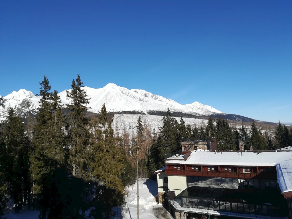 apartman jedla — foto 3