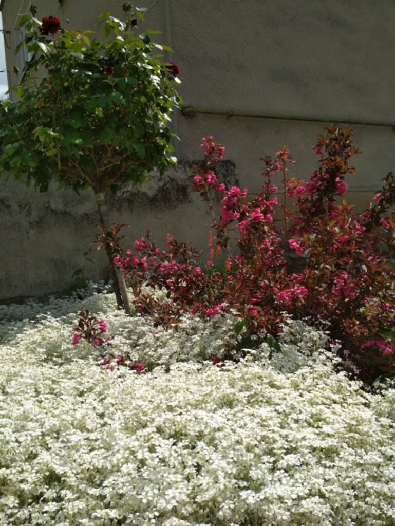 apartmany smith — foto 7