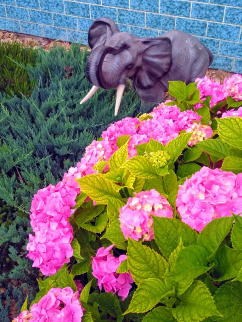 apartmany smith — foto 8