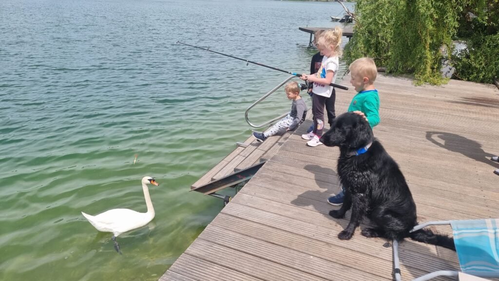 chata topsenec lakeside home