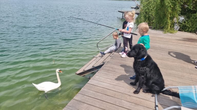 chata topsenec lakeside home