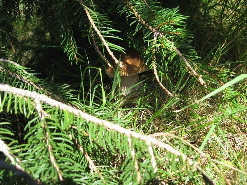 chata boca — foto 3