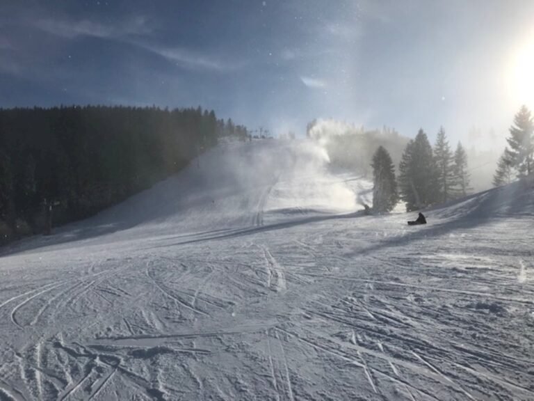 apartman saska vratna