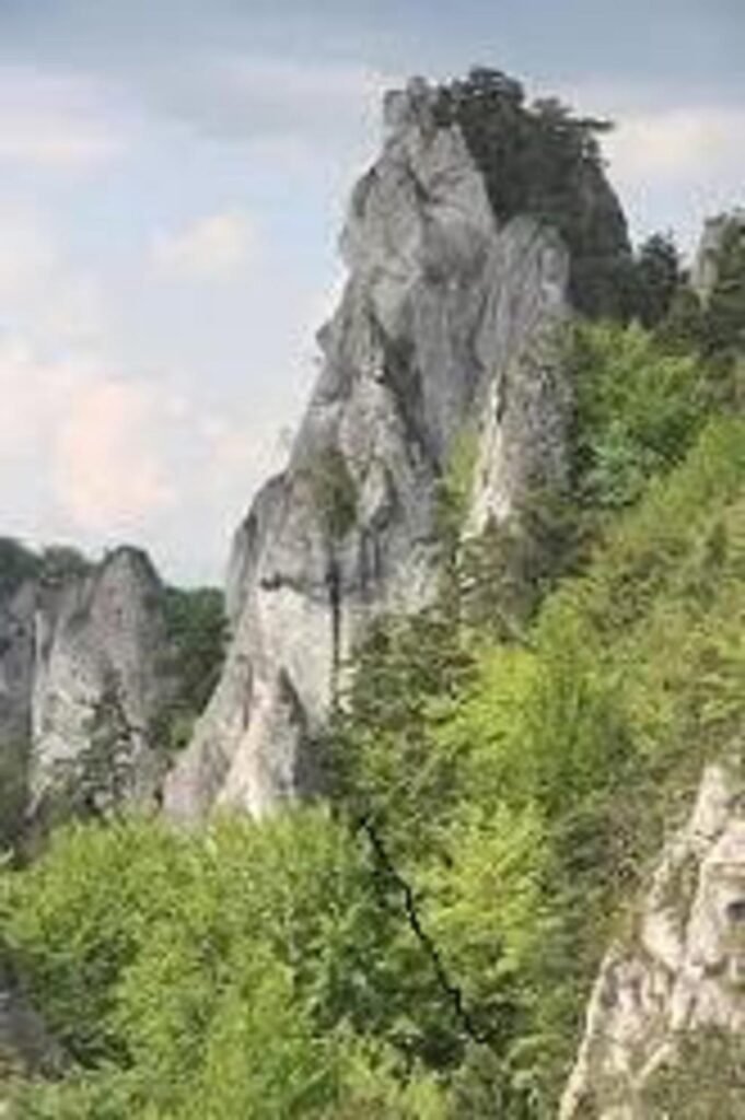 Rekreacny dom rohac — foto 5