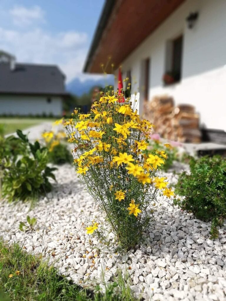 villa zoja — foto 7