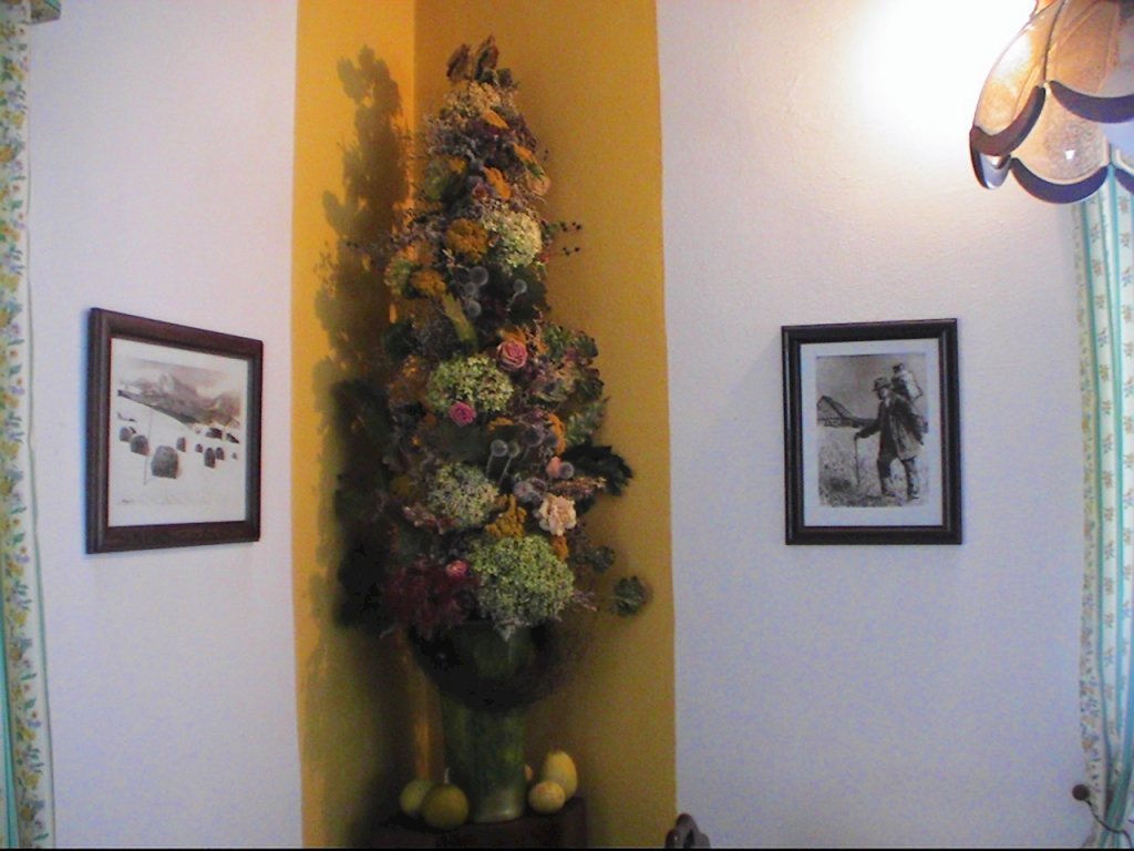 Pension slunko — foto 6