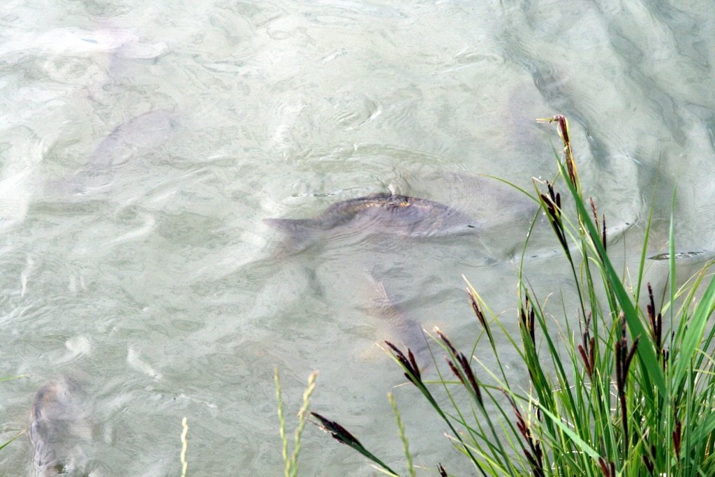 apartmany aqua — foto 5