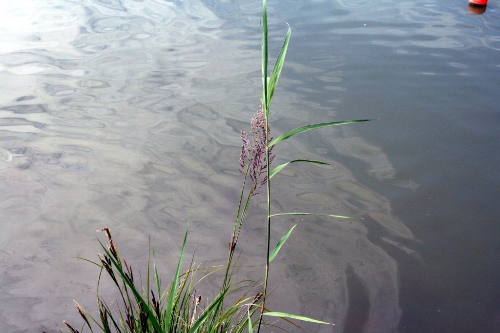 apartmany aqua — foto 6