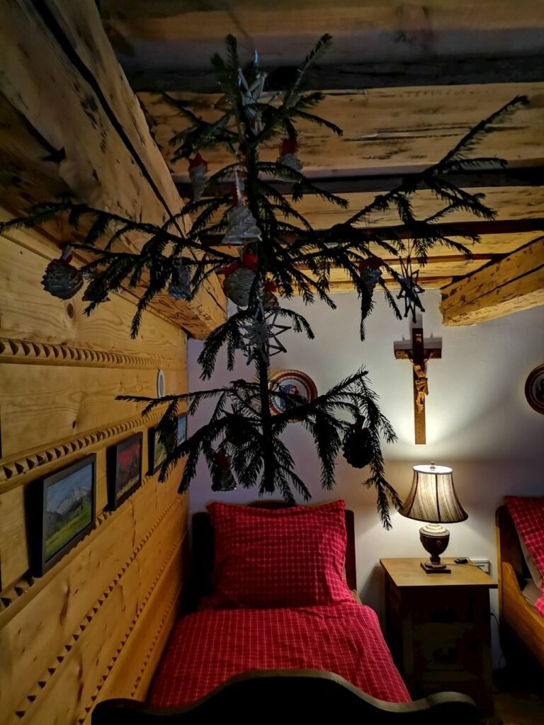 Drevenica jelenec — foto 8
