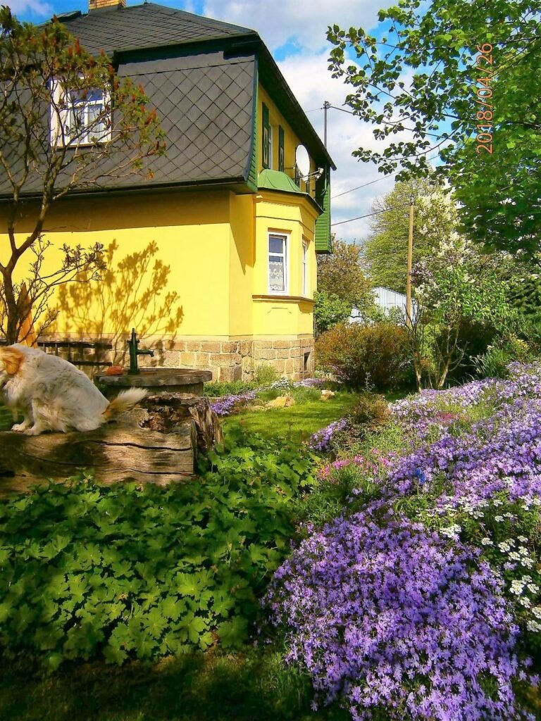 vila miluska — foto 2