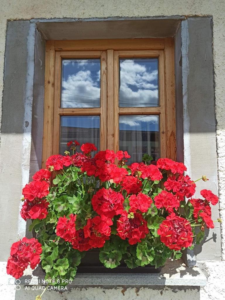 drevenica u starej mamy mengusovce — foto 3