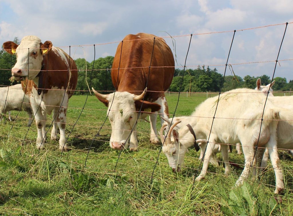 farma kundratice — foto 2