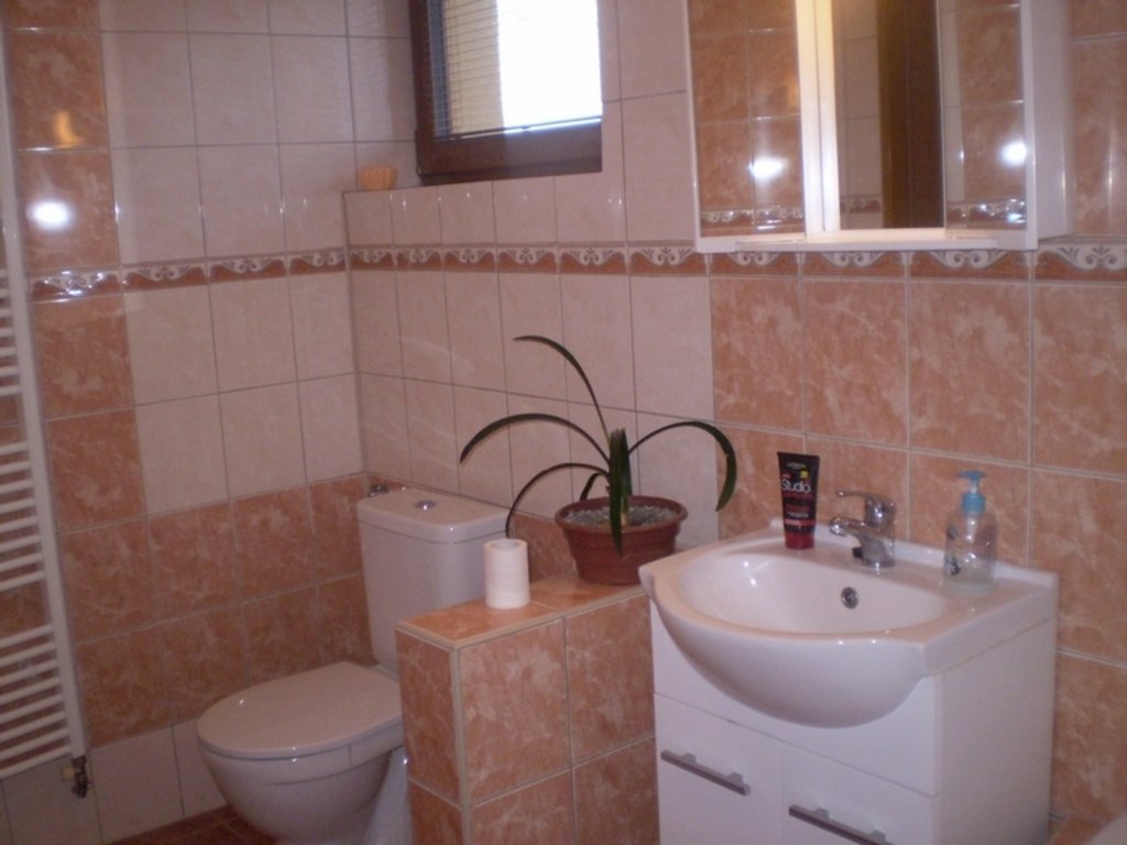 chata u lesa — foto 2