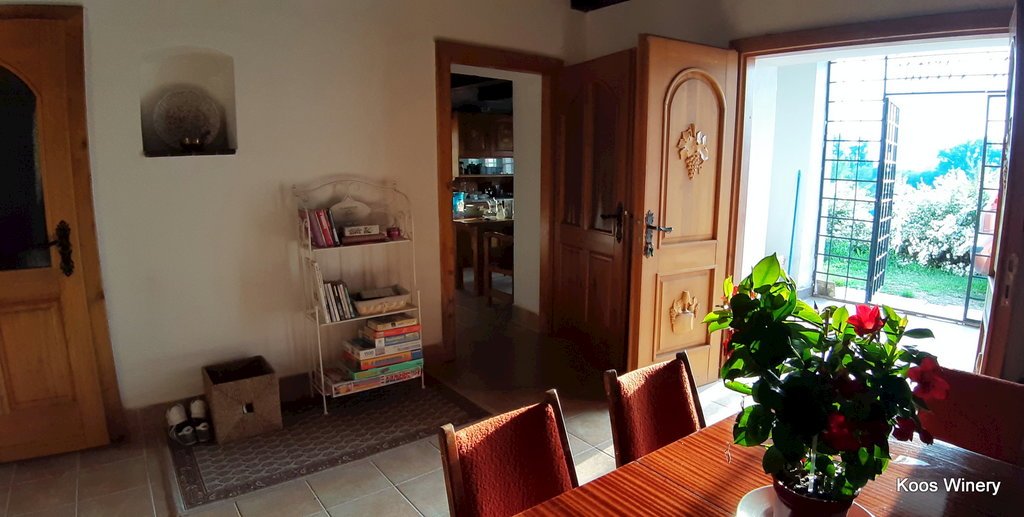 hajloch vesna — foto 2