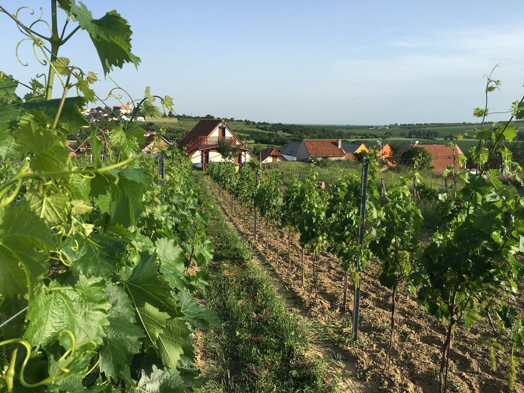 ubytovani u barinu — foto 2