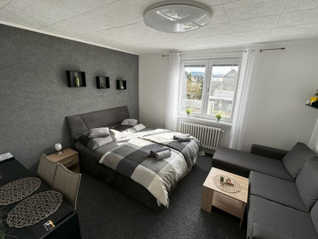Apartmany karlovy vary — foto 8