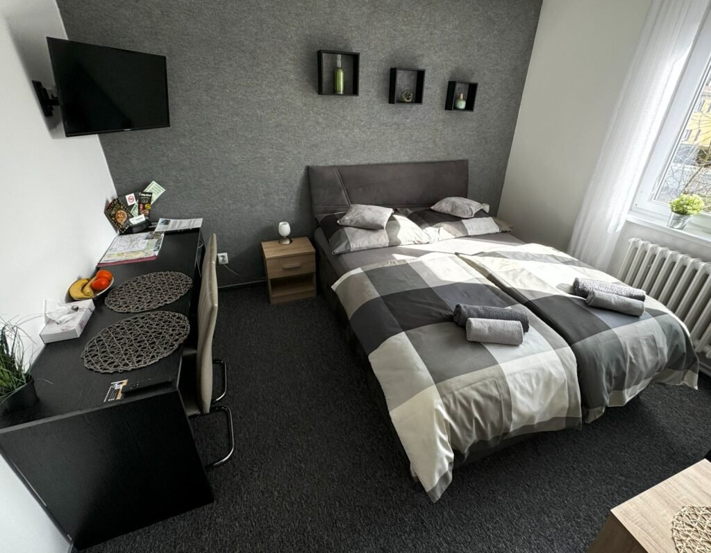Apartmany karlovy vary — foto 7