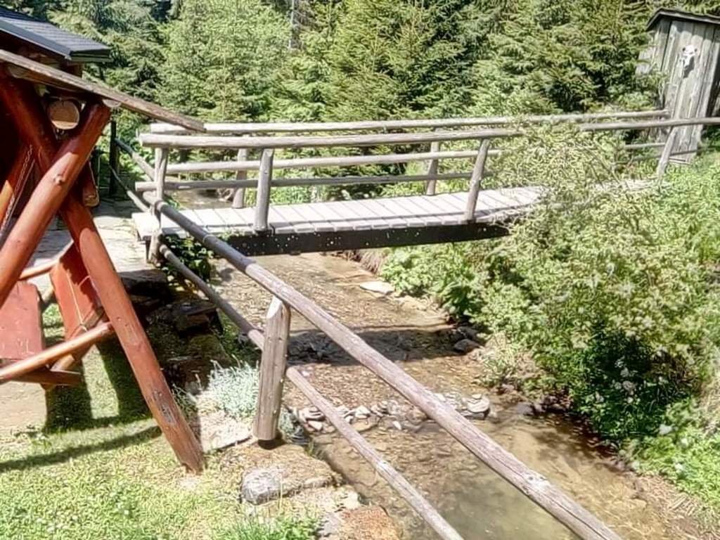 chata teplica — foto 2