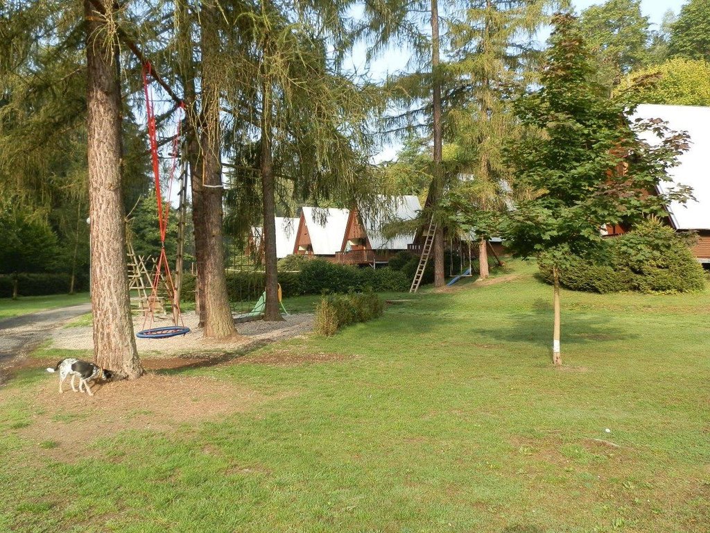 kemp karolina — foto 3