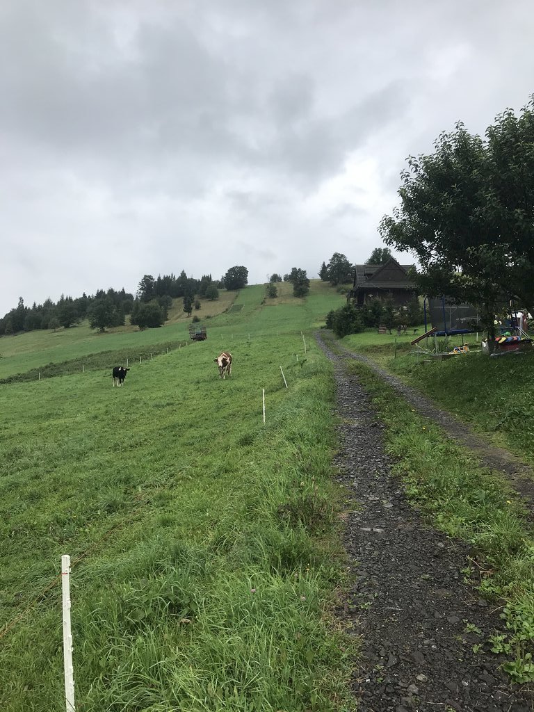 villa zdiar 681 — foto 3