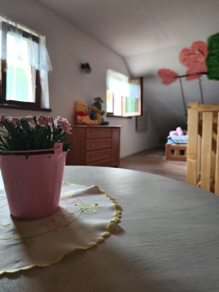 chalupa mary vyskovec