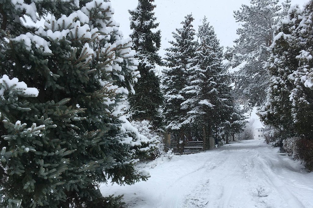 chata dudince — foto 3