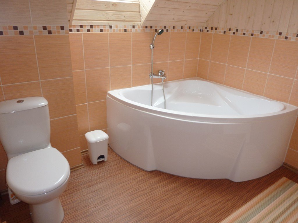 Roubenka stribrnice — foto 6