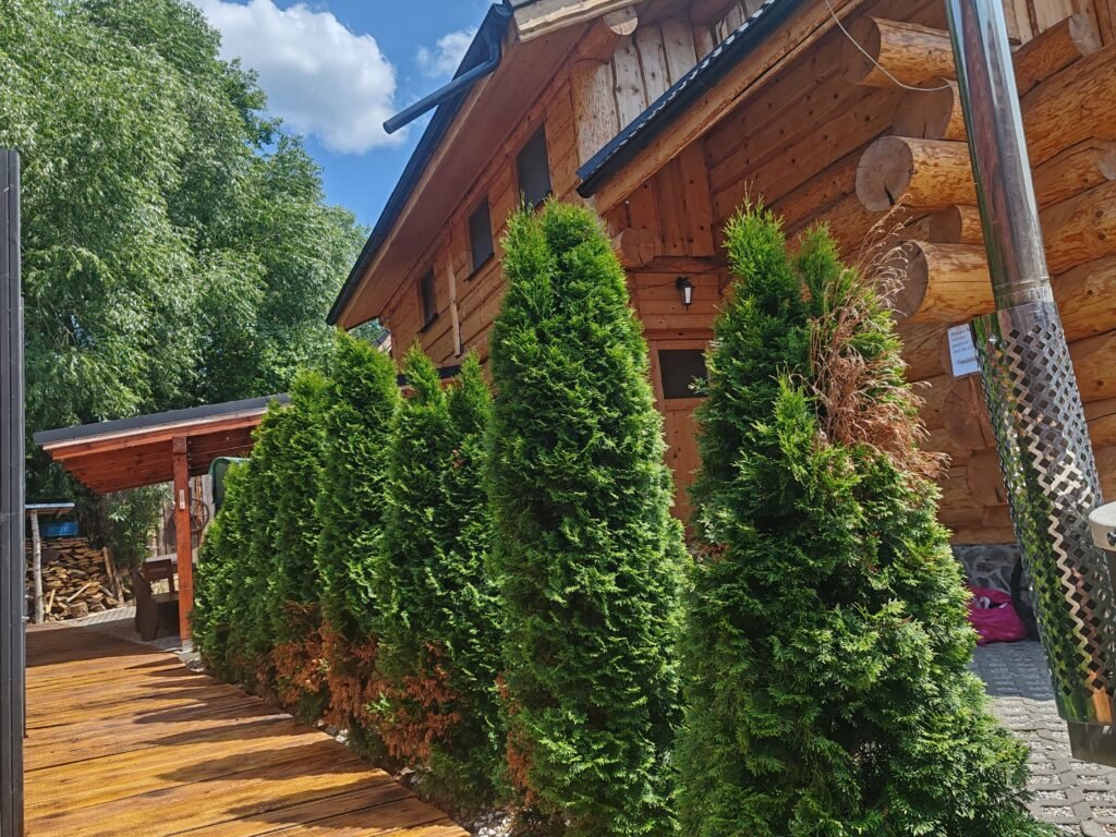 kanadsky zrub — foto 3