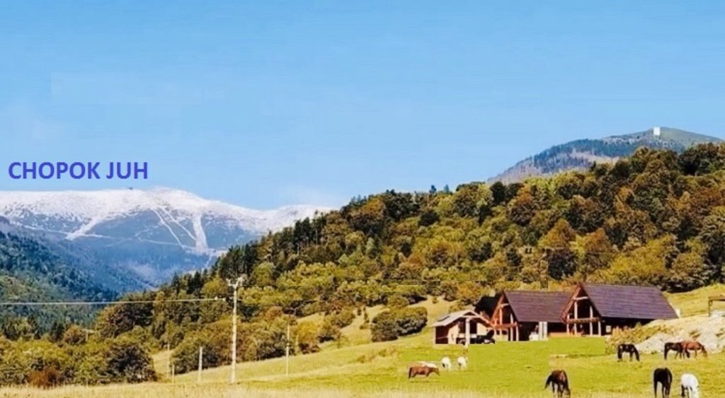 Zrub laura — foto 7