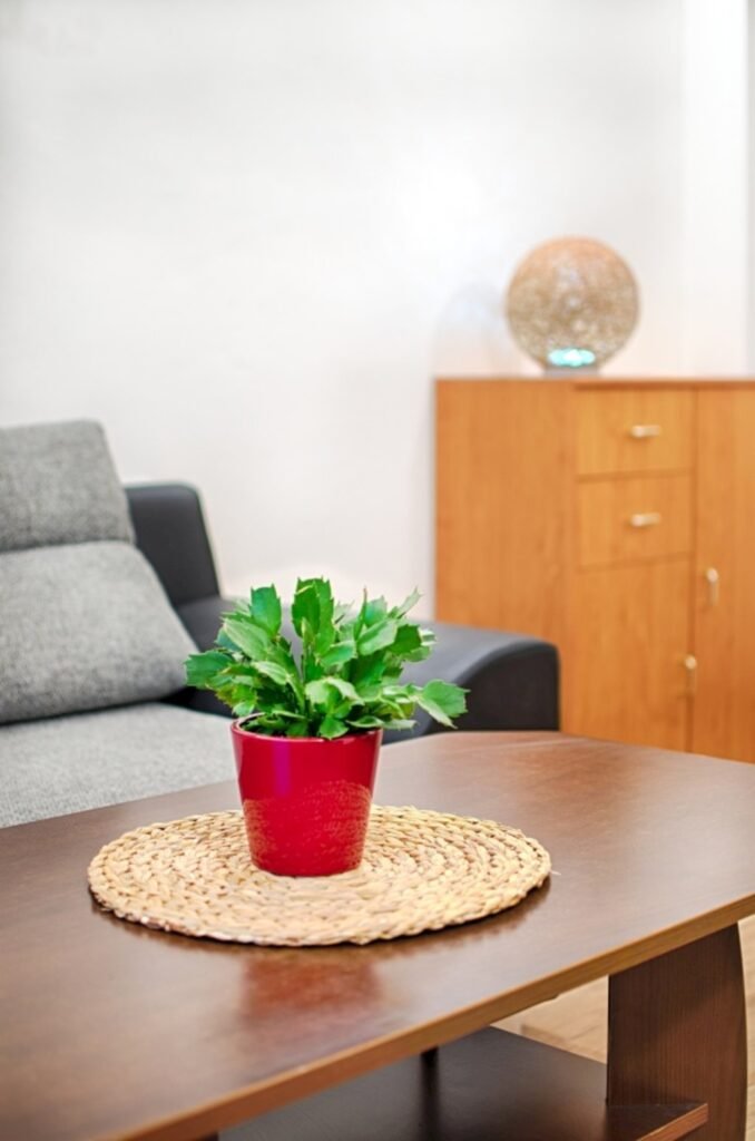 Apartmany na bile — foto 4