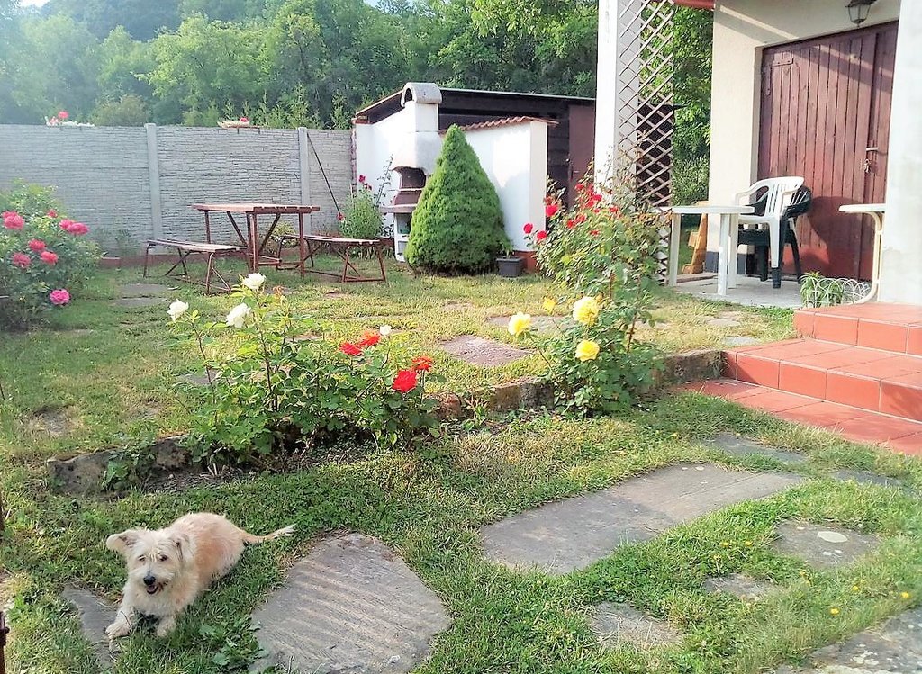 Apartman velky vrestov — foto 7
