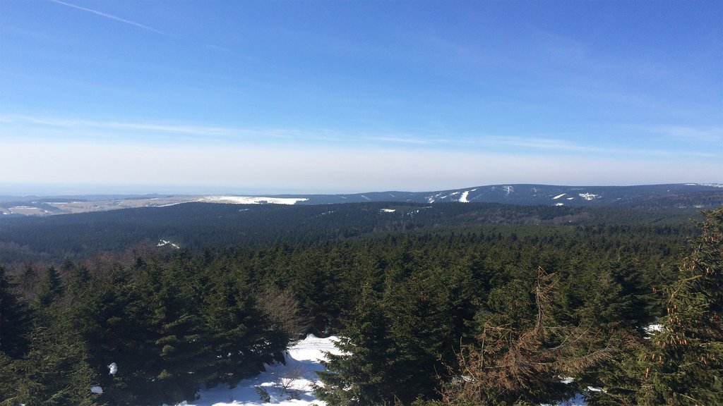 apartman ricky u snezneho lva — foto 5