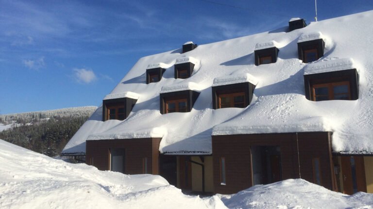 apartman ricky u snezneho lva