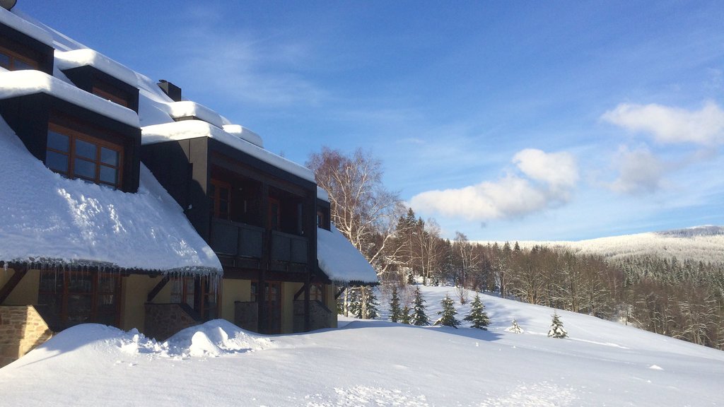 apartman ricky u snezneho lva — foto 2