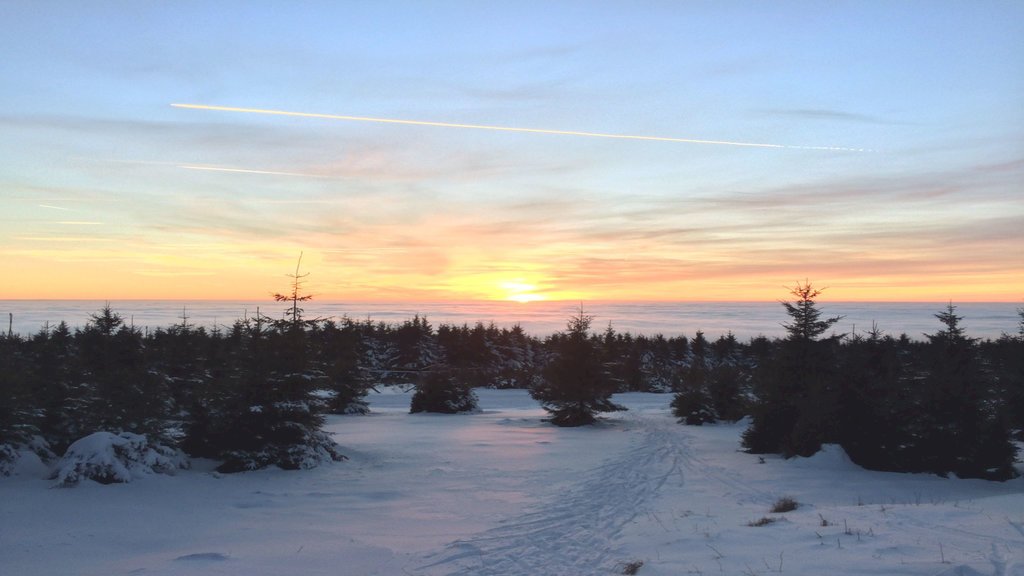 apartman ricky u snezneho lva — foto 4