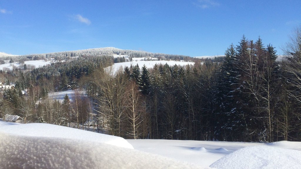 apartman ricky u snezneho lva — foto 6