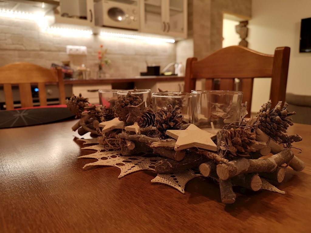 Drevenica ludmila pod hatami — foto 4