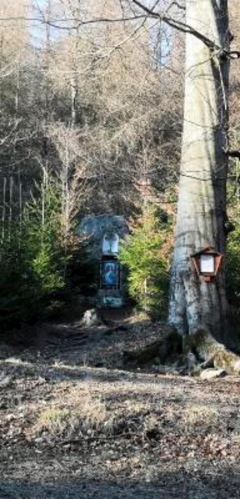 penzion ctyrlistek — foto 2