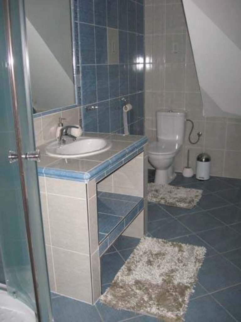 drevenica erika — foto 6