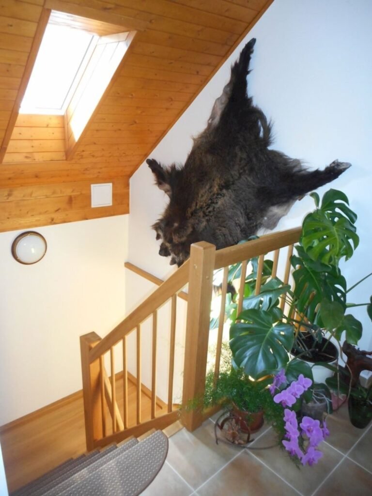 ubytovani na trinactce — foto 2