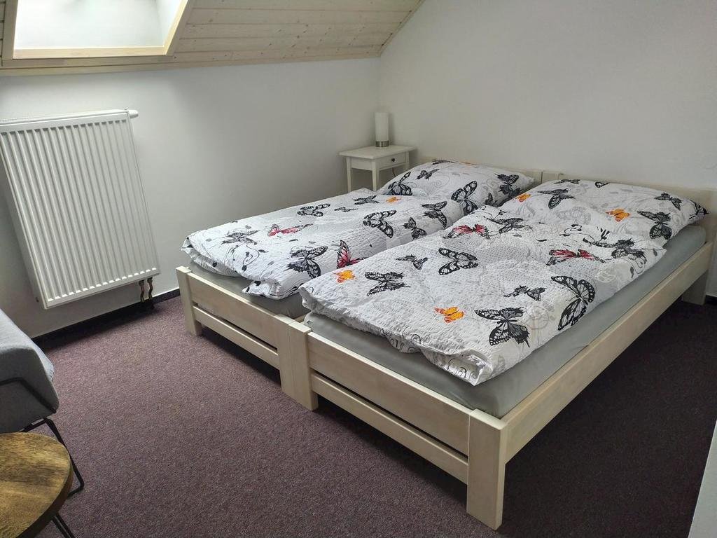 Statek cesky dvur — foto 6