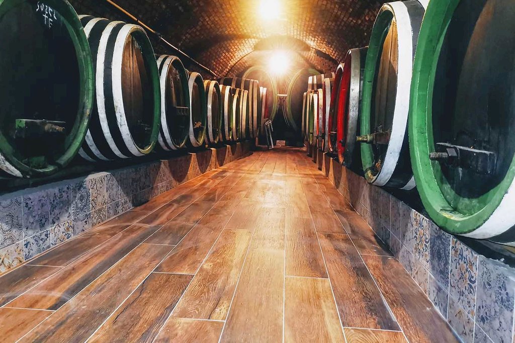 penzion vinarstvi hanus — foto 3