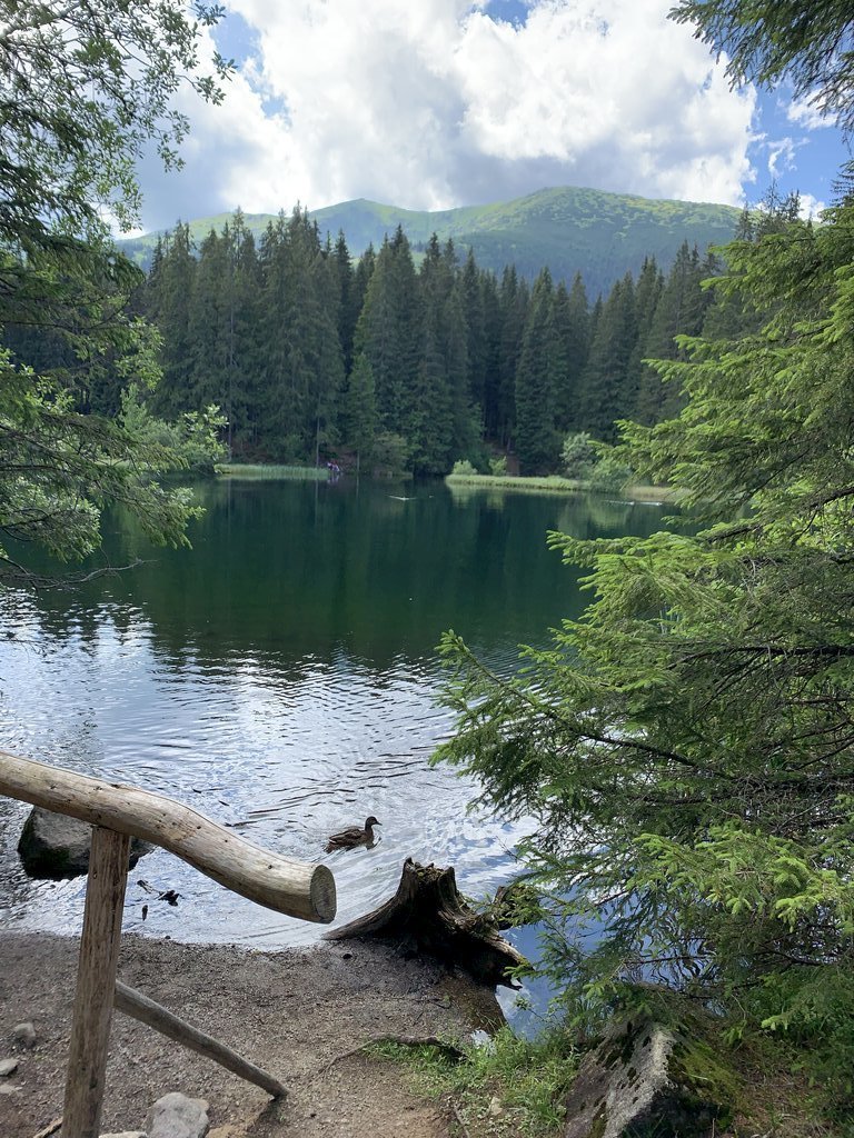 chalet hill jasna — foto 5