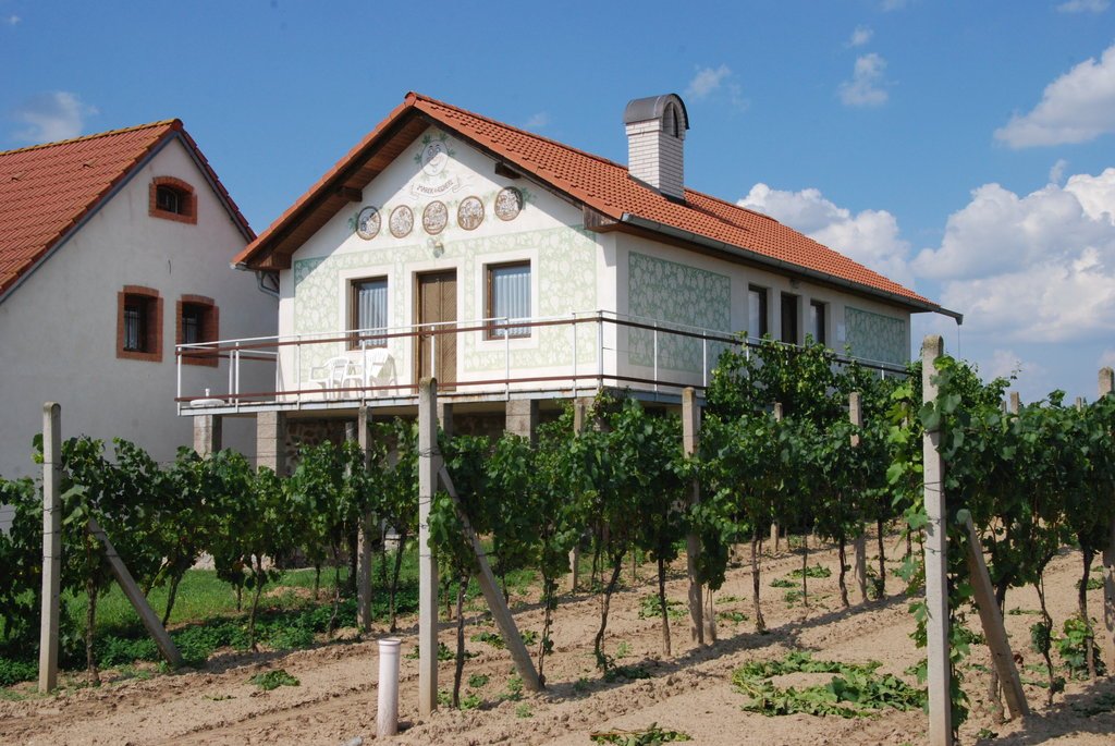 markovy vinne sklepy — foto 3