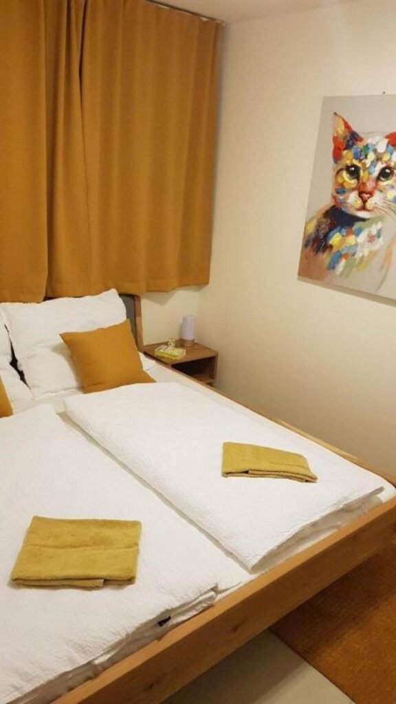 veritas house — foto 6