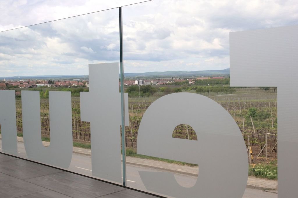 penzion vinarstvi vladimir tetur — foto 3