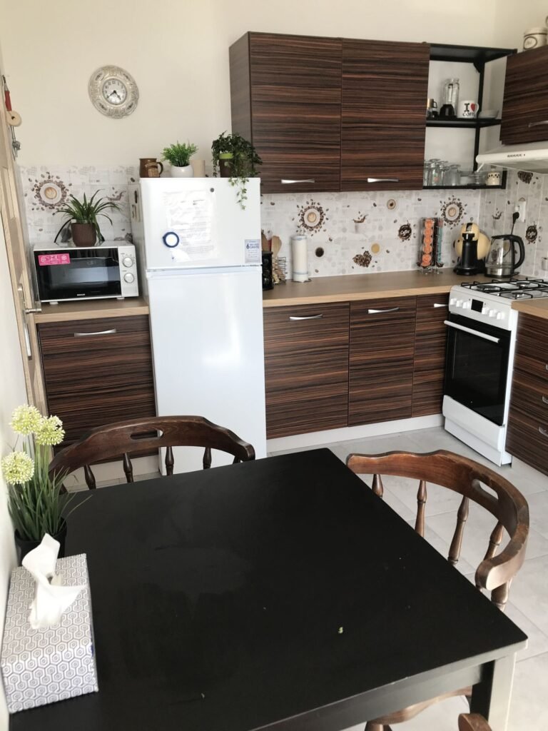 Prazdninovy dum hosin — foto 8